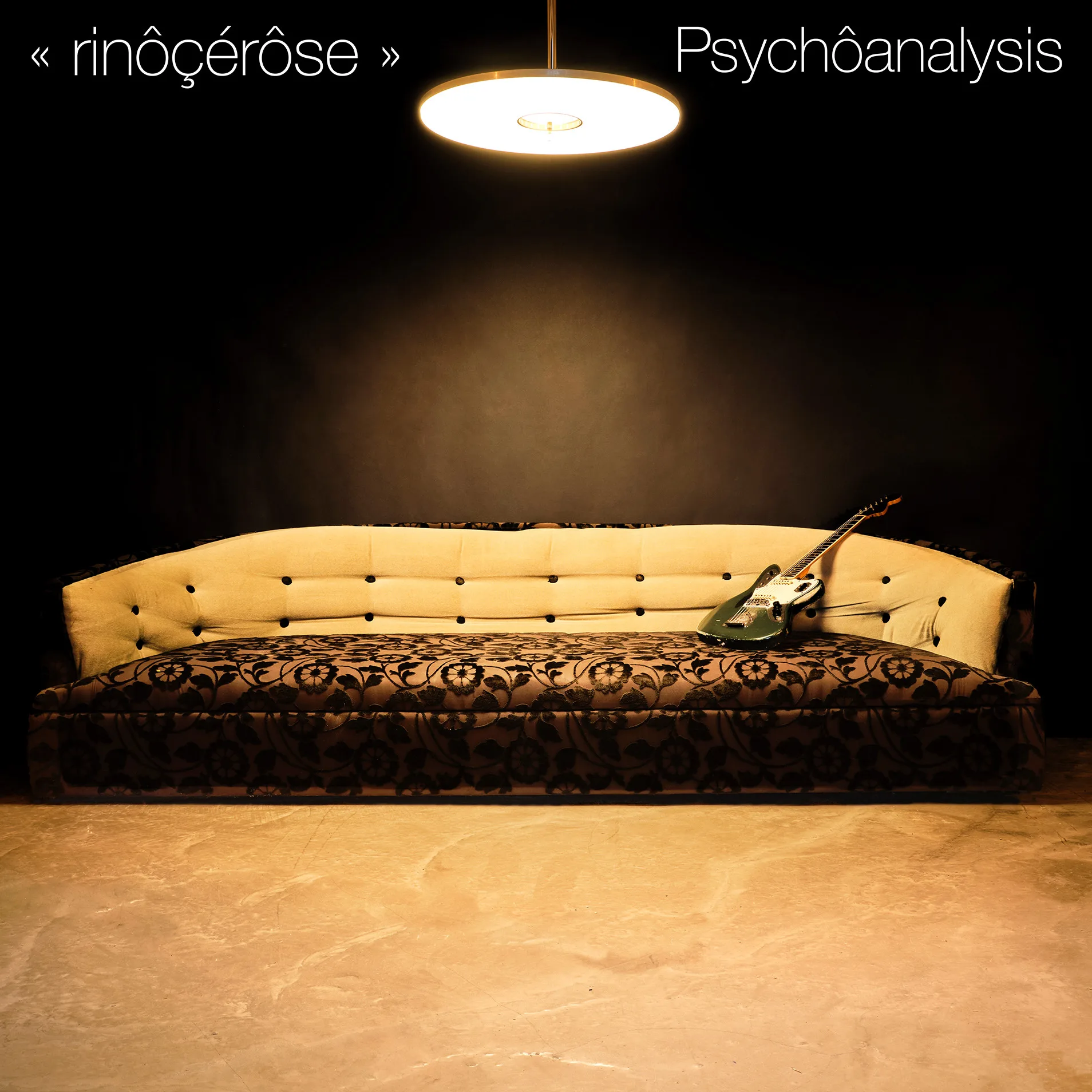 Pochette de l'album psychôanalysis de rinôçérose